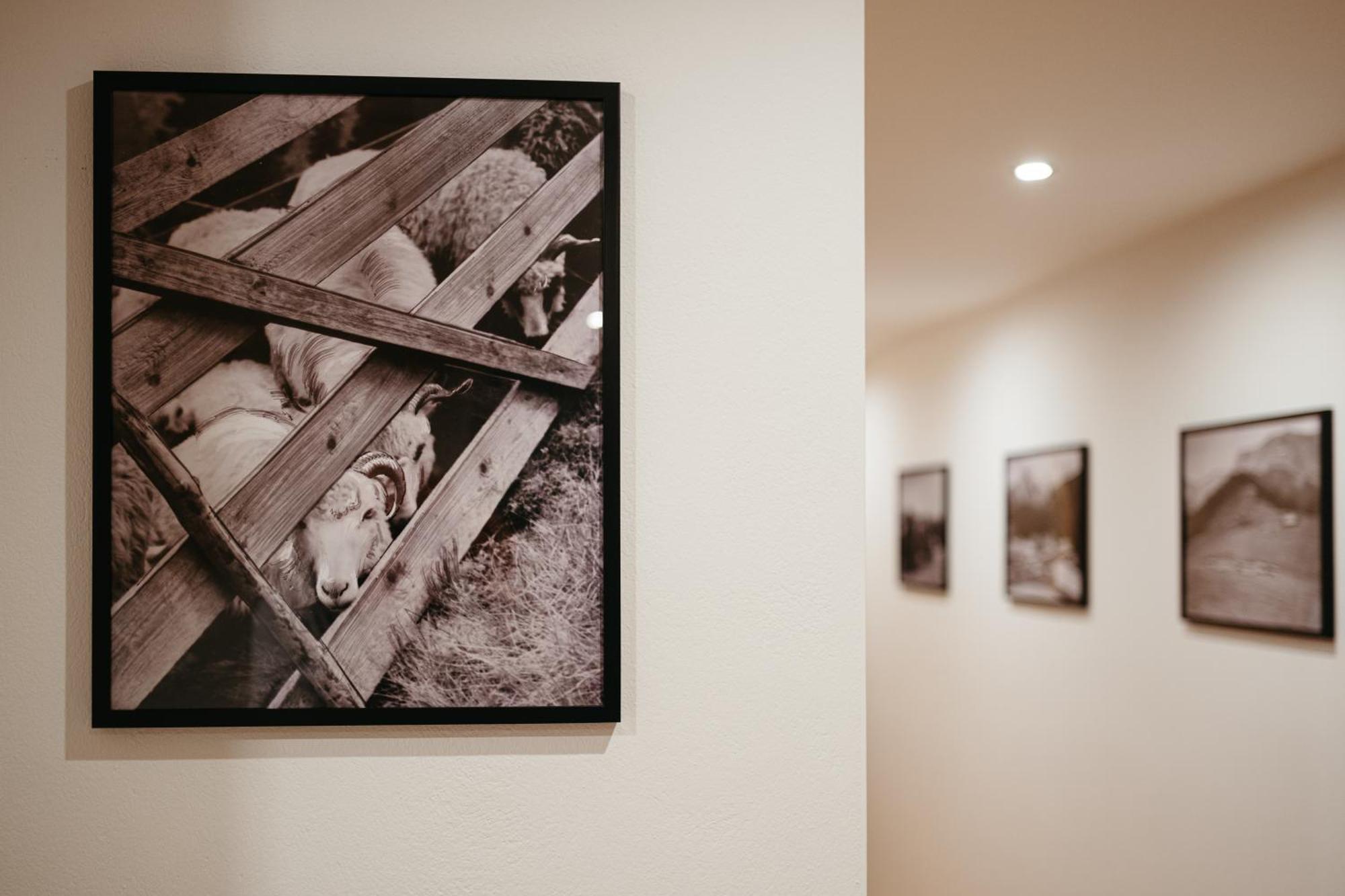 Novopolka Apartamenty Répásfalu Szoba fotó